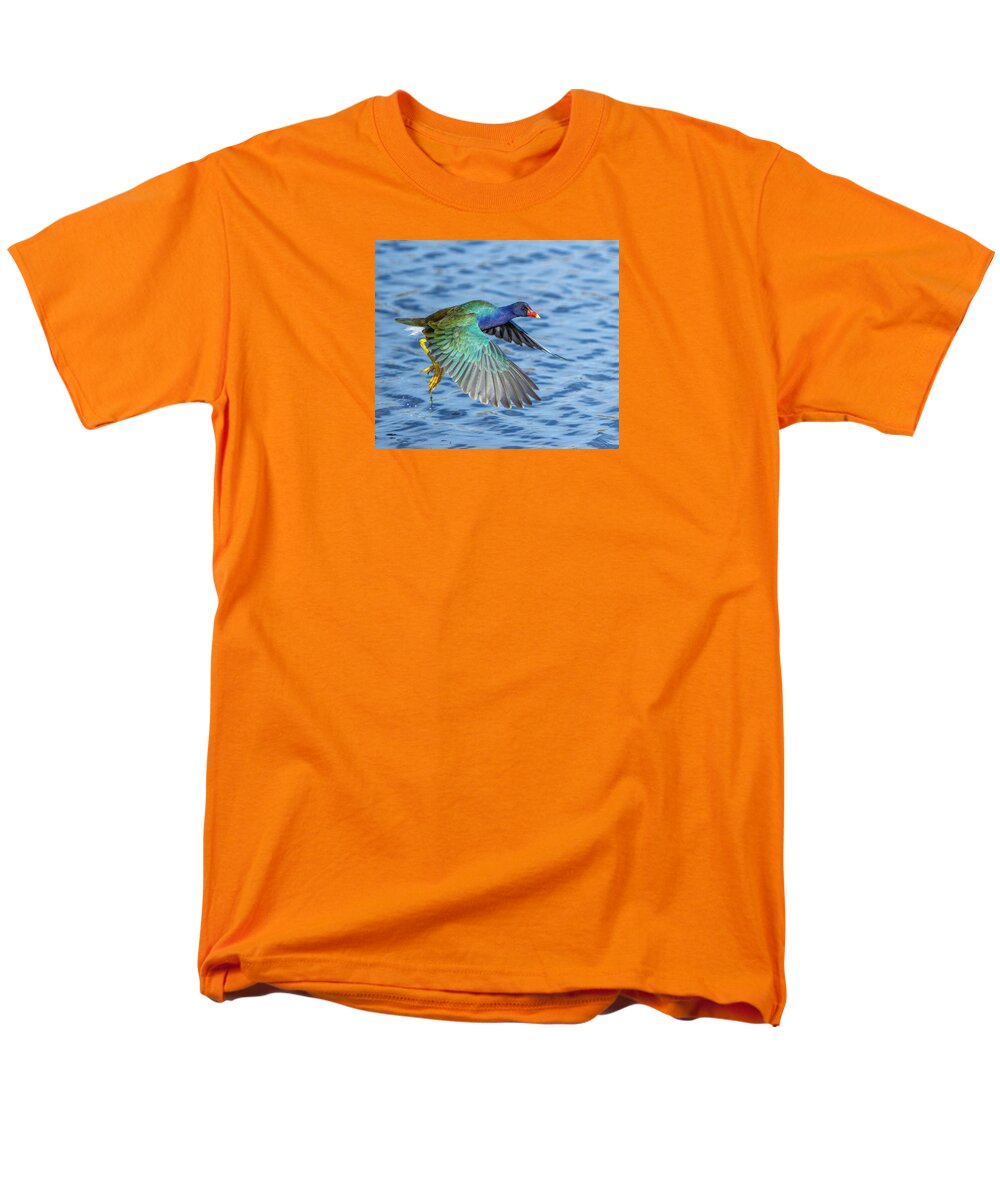 Jewel Wing - Men's T-Shirt  (Regular Fit)