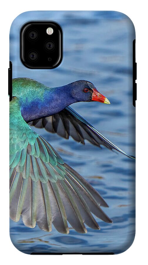 Jewel Wing - Phone Case