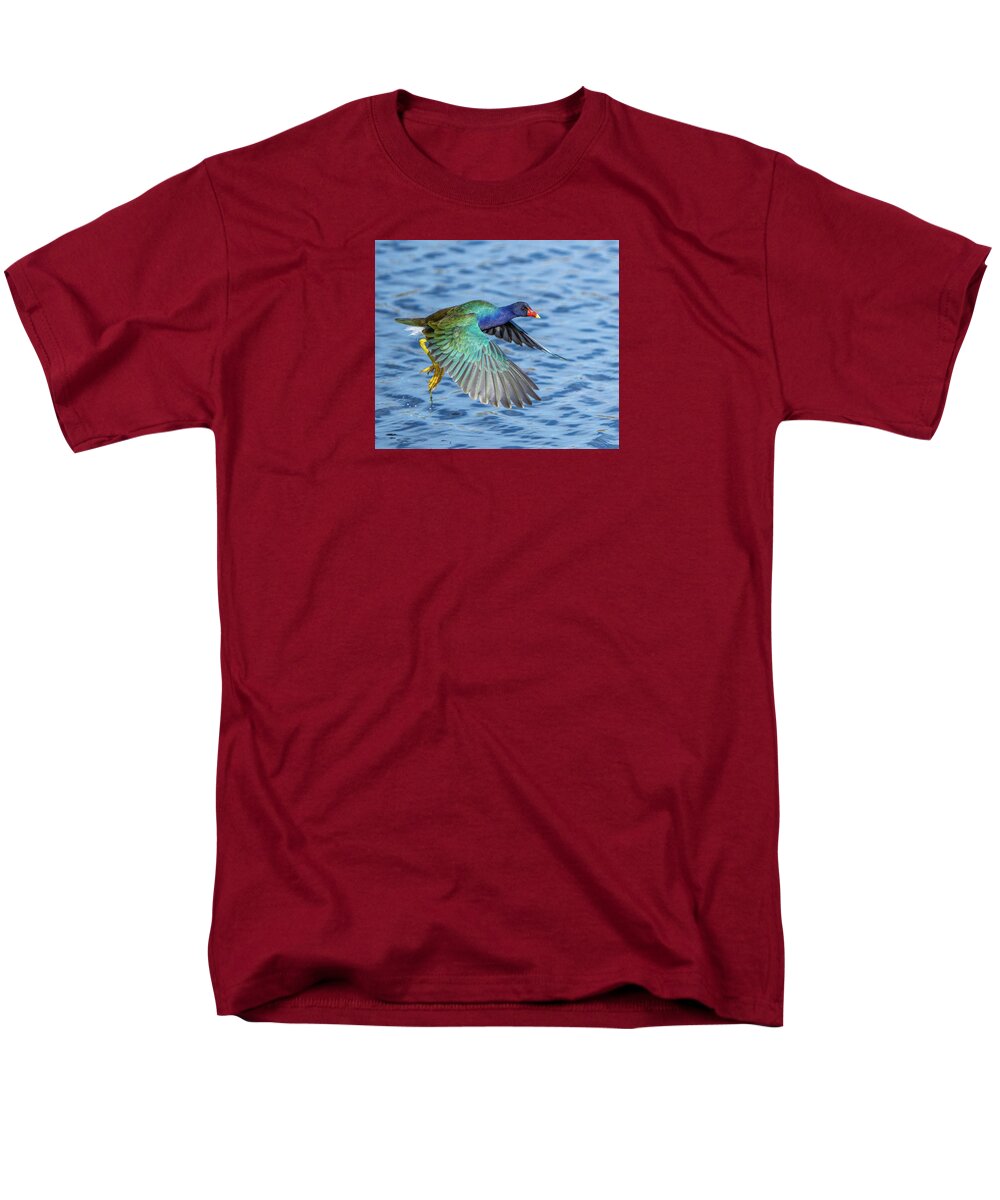 Jewel Wing - Men's T-Shirt  (Regular Fit)