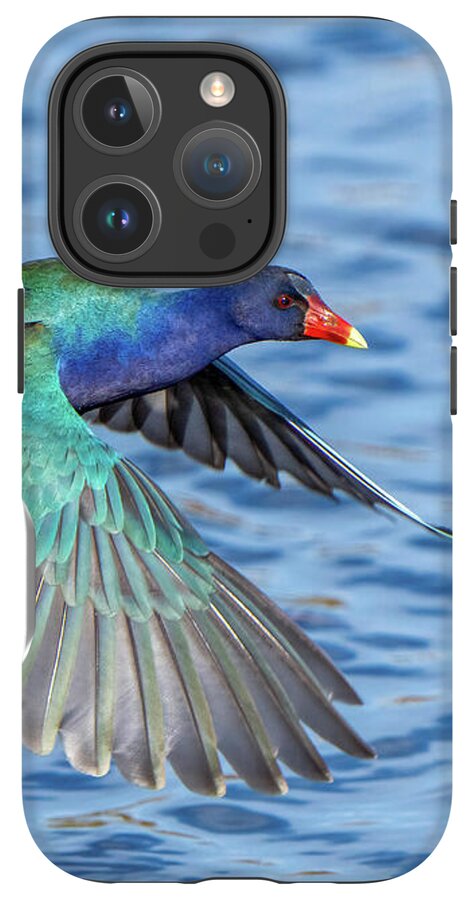 Jewel Wing - Phone Case