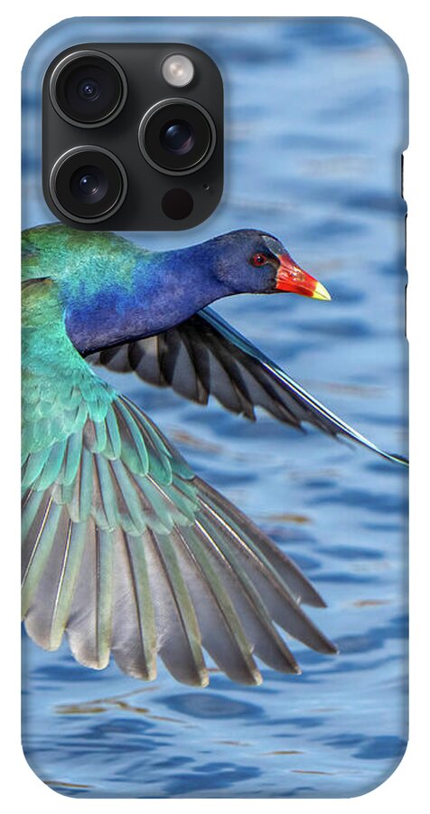 Jewel Wing - Phone Case
