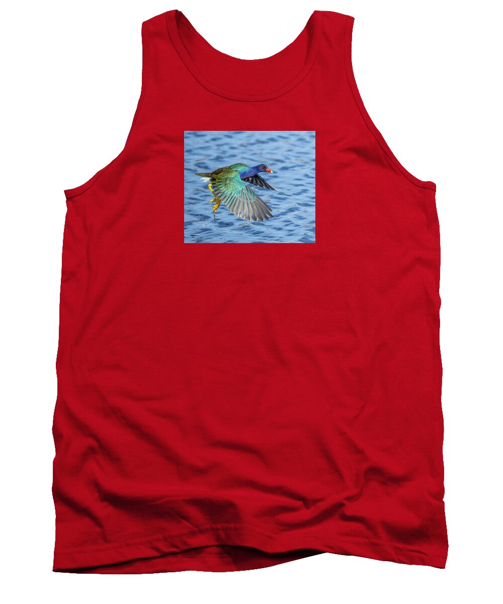 Jewel Wing - Tank Top