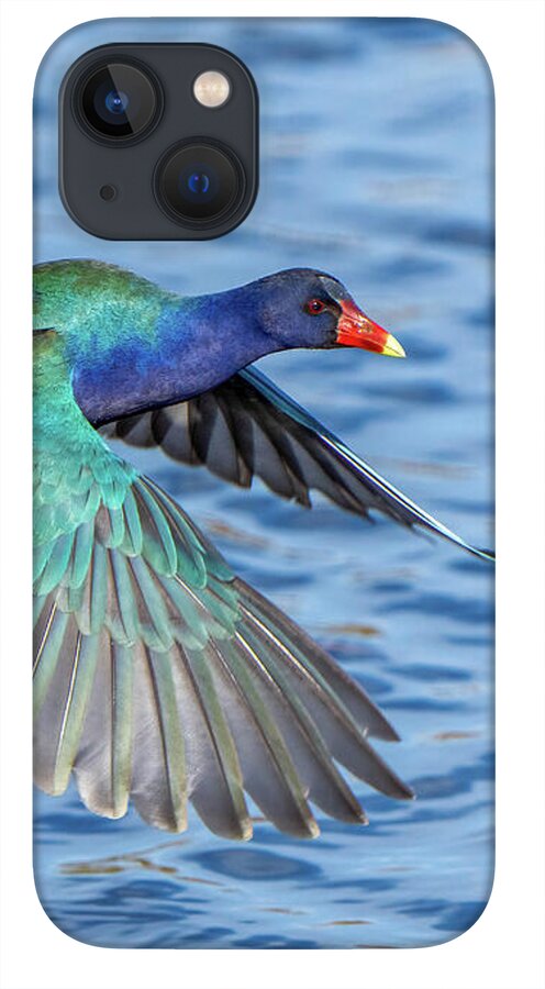 Jewel Wing - Phone Case