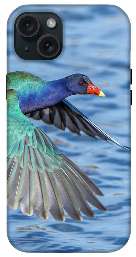 Jewel Wing - Phone Case