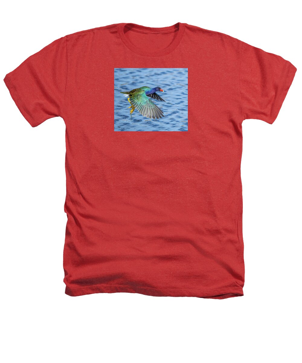 Jewel Wing - Heathers T-Shirt