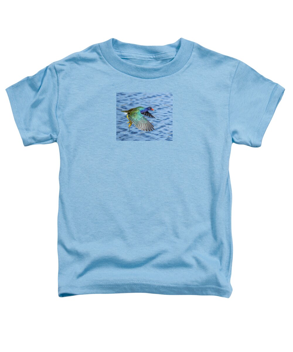 Jewel Wing - Toddler T-Shirt
