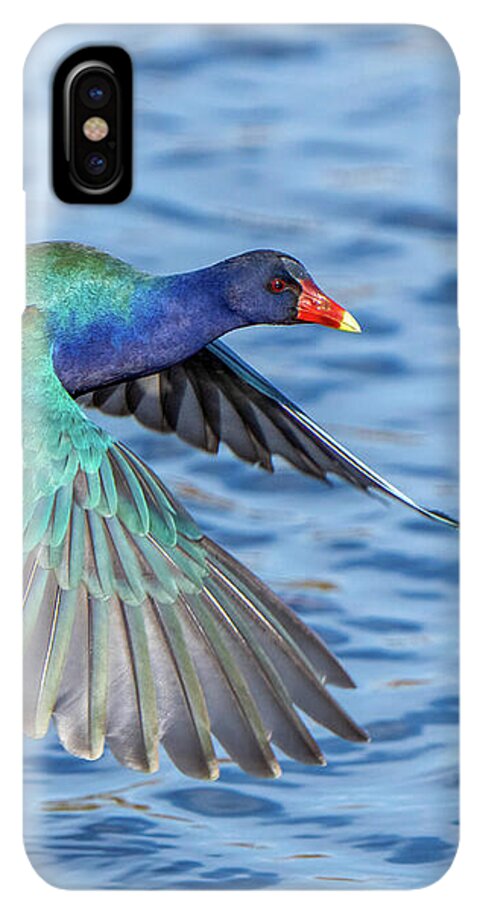 Jewel Wing - Phone Case
