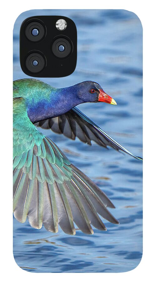 Jewel Wing - Phone Case