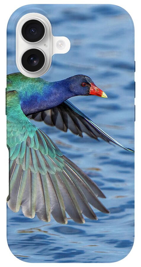 Jewel Wing - Phone Case