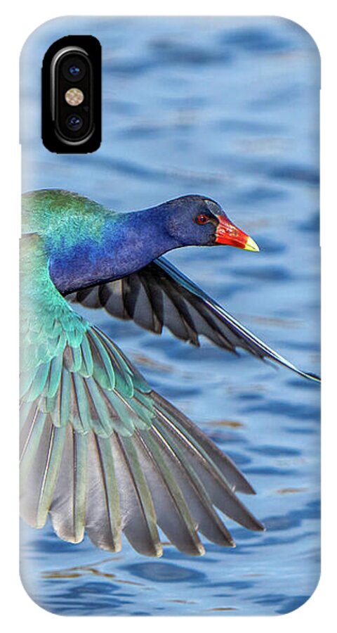 Jewel Wing - Phone Case