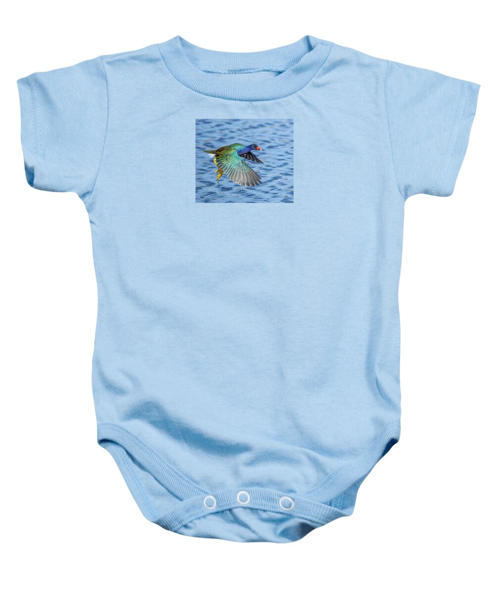 Jewel Wing - Baby One-Piece
