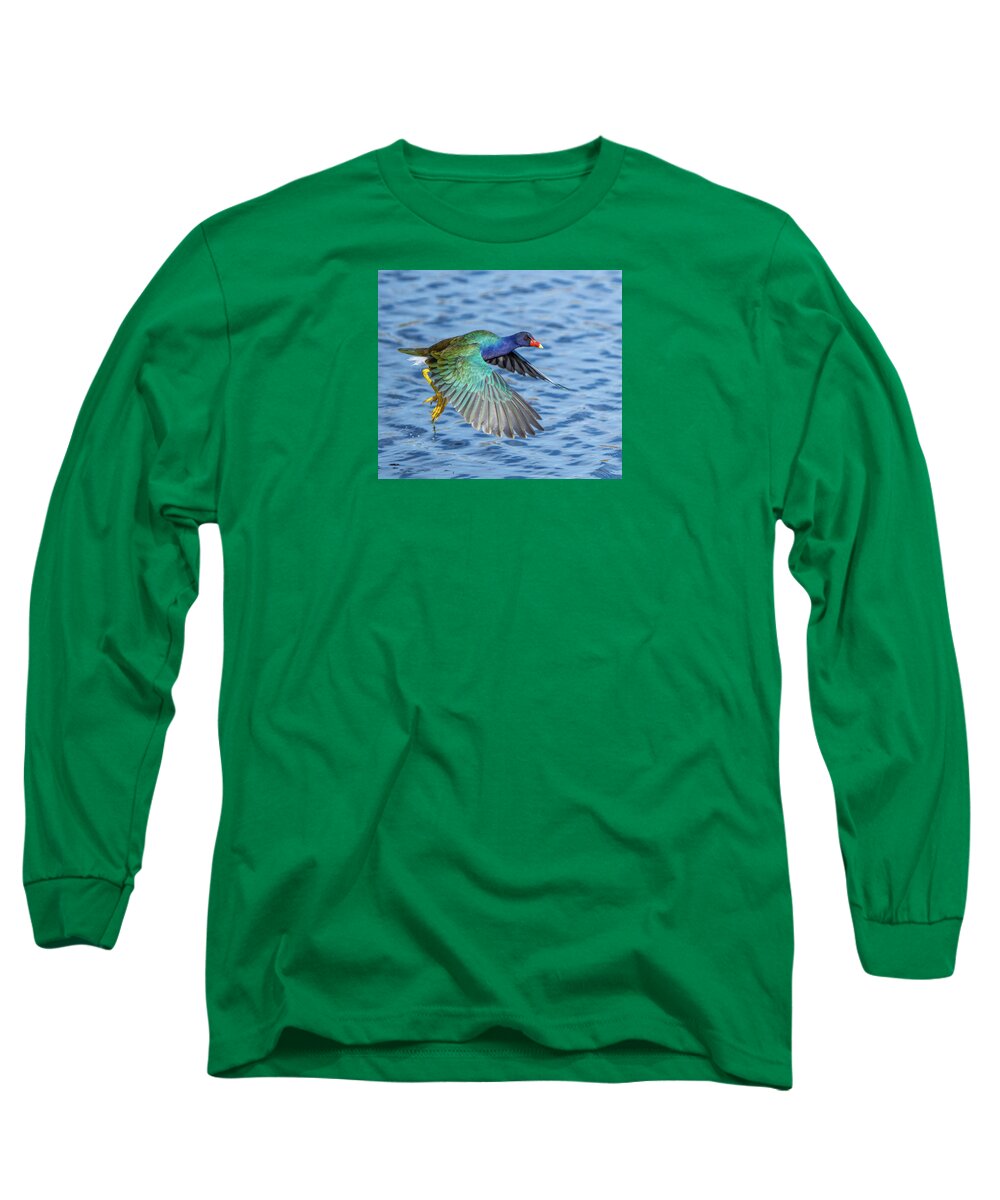 Jewel Wing - Long Sleeve T-Shirt