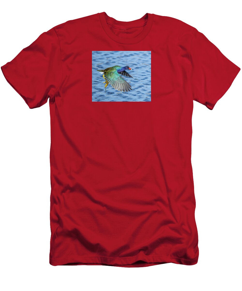 Jewel Wing - T-Shirt