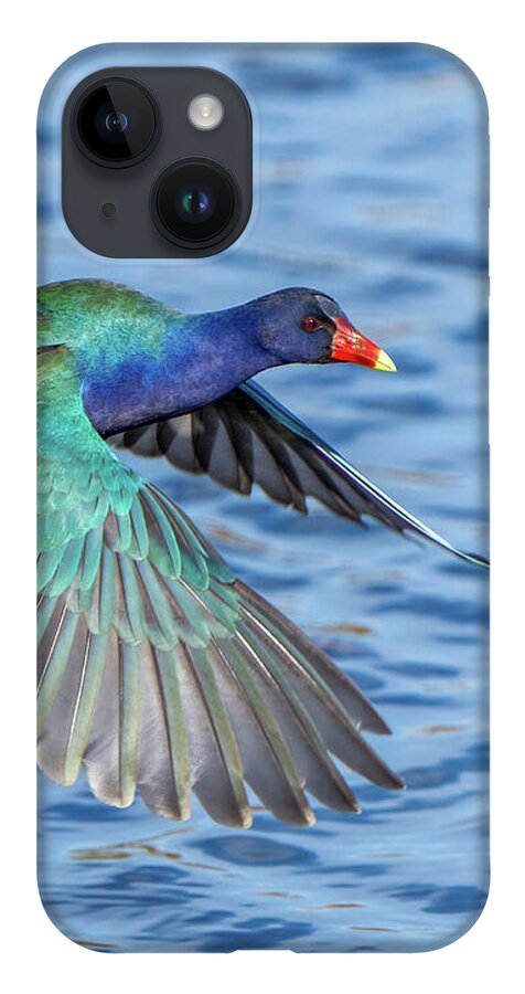 Jewel Wing - Phone Case