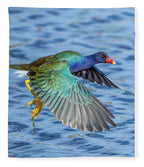 Jewel Wing - Blanket