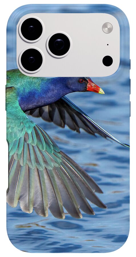 Jewel Wing - Phone Case