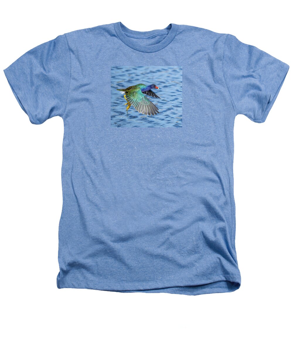 Jewel Wing - Heathers T-Shirt