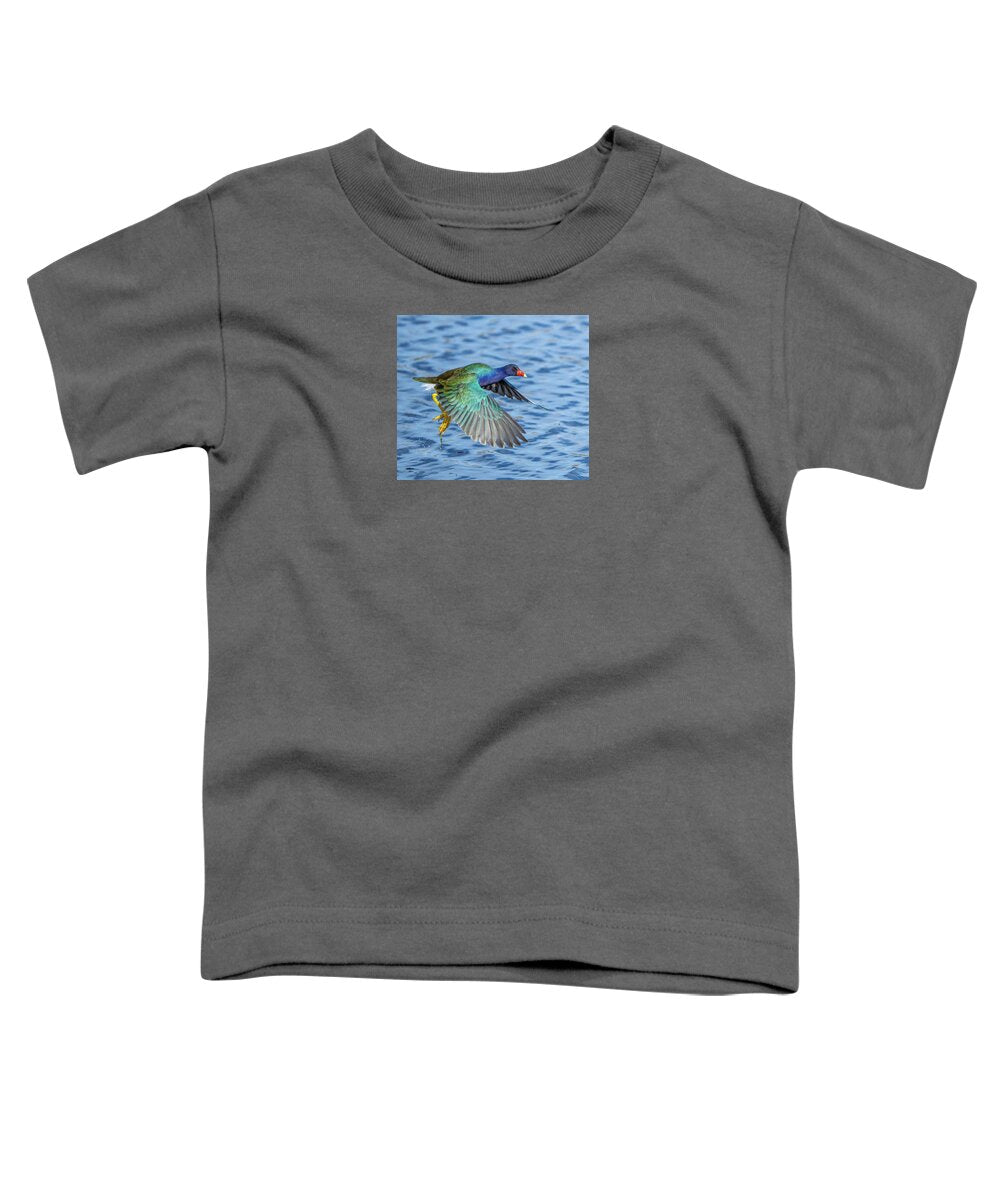 Jewel Wing - Toddler T-Shirt
