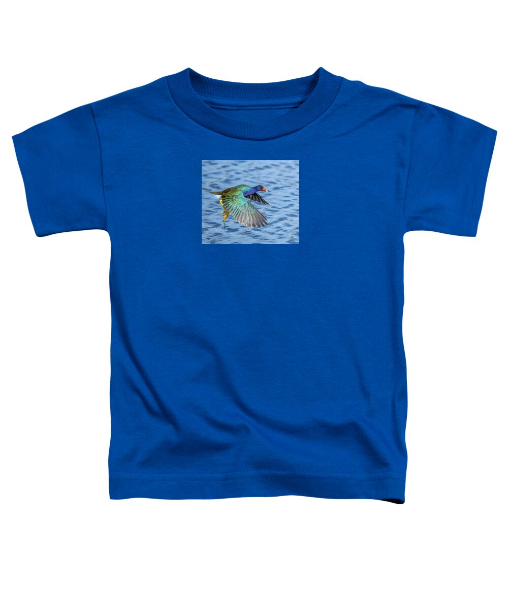 Jewel Wing - Toddler T-Shirt