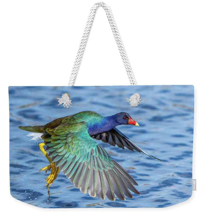 Jewel Wing - Weekender Tote Bag
