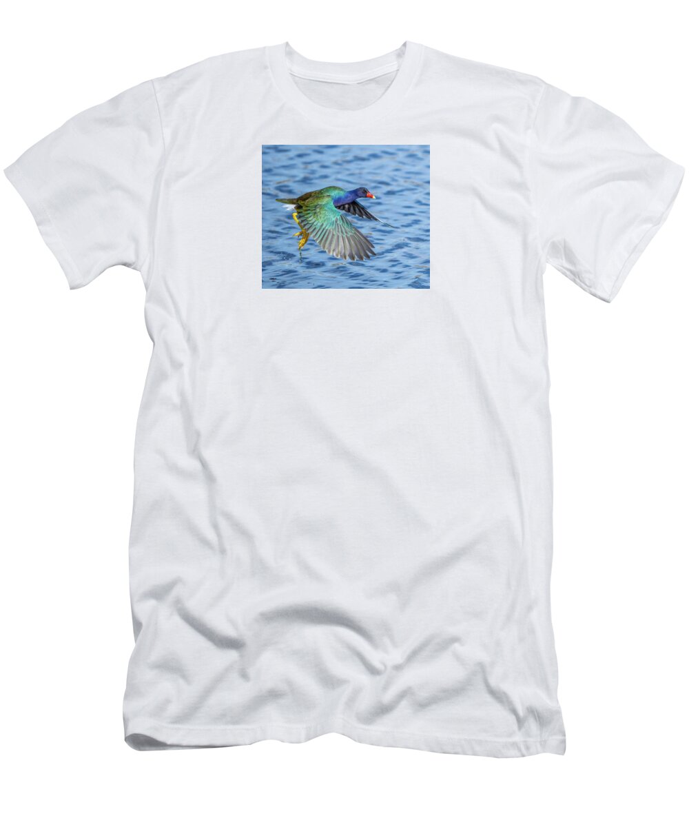Jewel Wing - T-Shirt