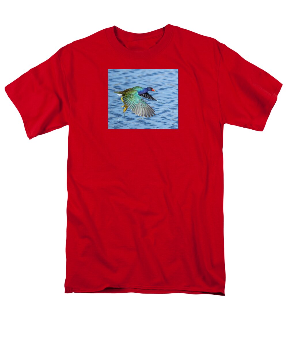Jewel Wing - Men's T-Shirt  (Regular Fit)