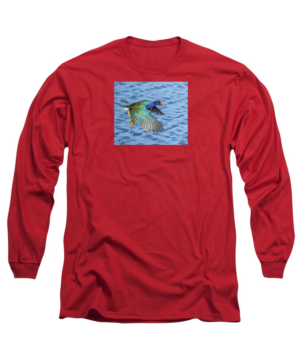 Jewel Wing - Long Sleeve T-Shirt