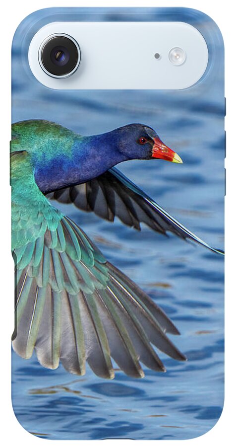 Jewel Wing - Phone Case