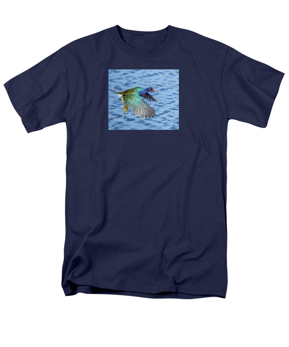 Jewel Wing - Men's T-Shirt  (Regular Fit)