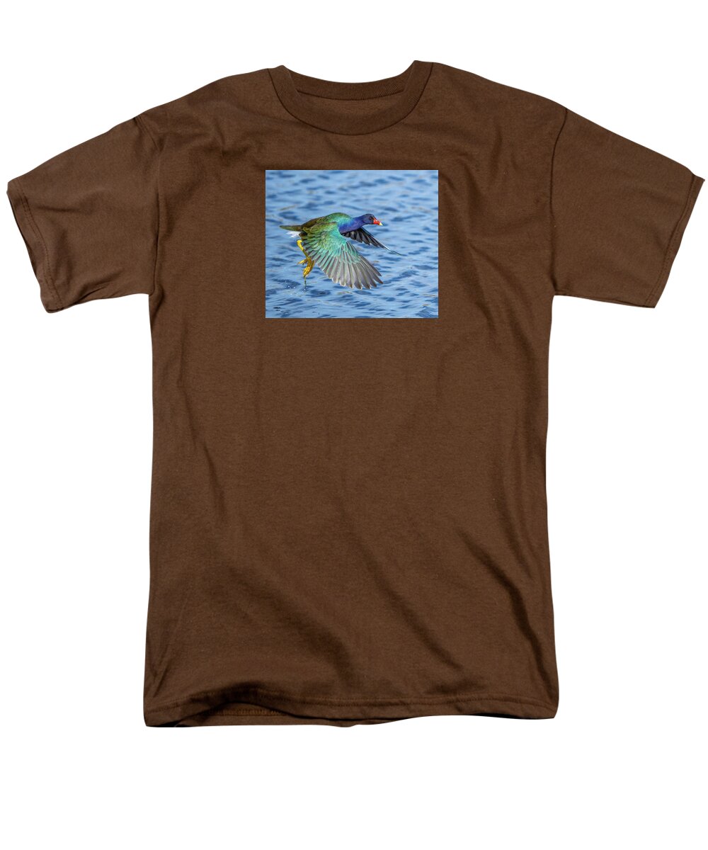 Jewel Wing - Men's T-Shirt  (Regular Fit)