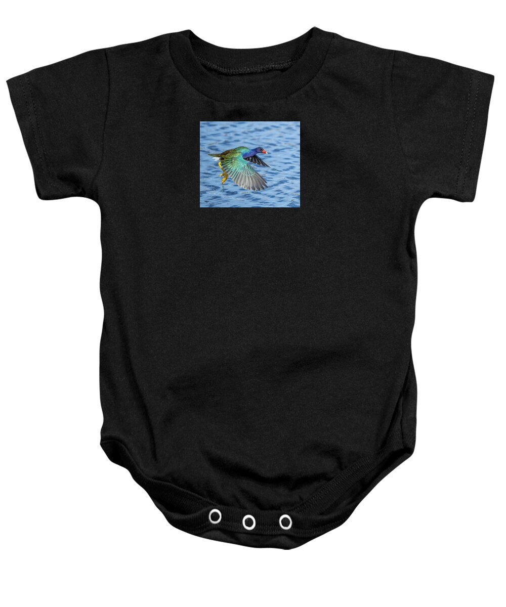 Jewel Wing - Baby One-Piece
