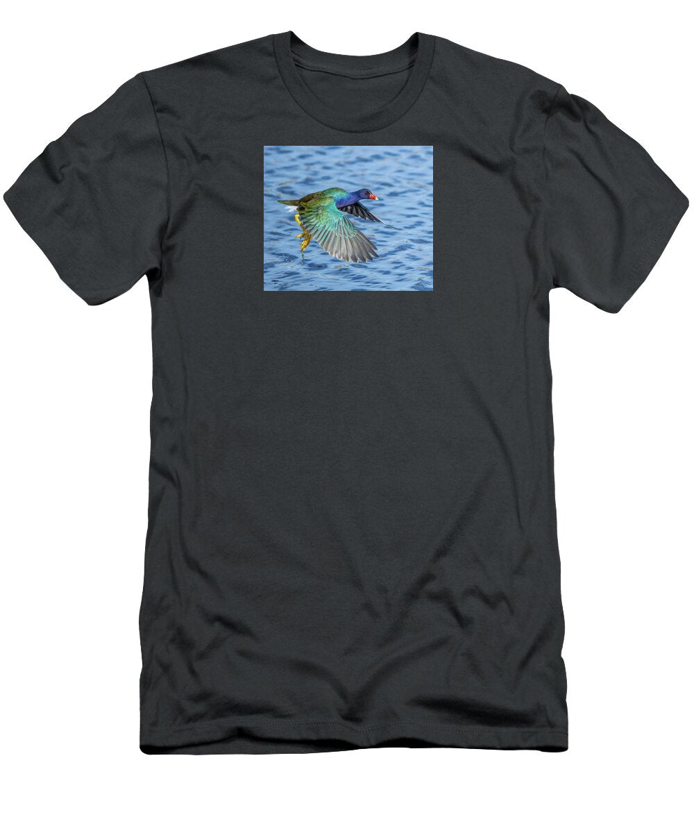 Jewel Wing - T-Shirt