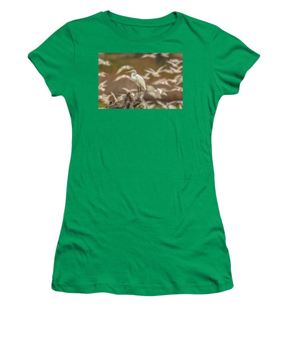 Library - Women's T-Shirt