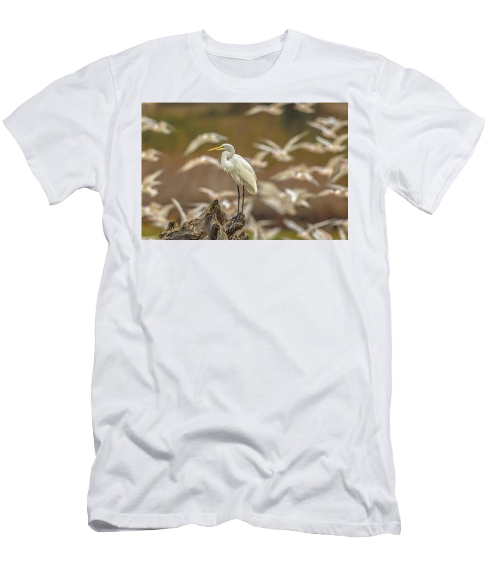 Library - T-Shirt