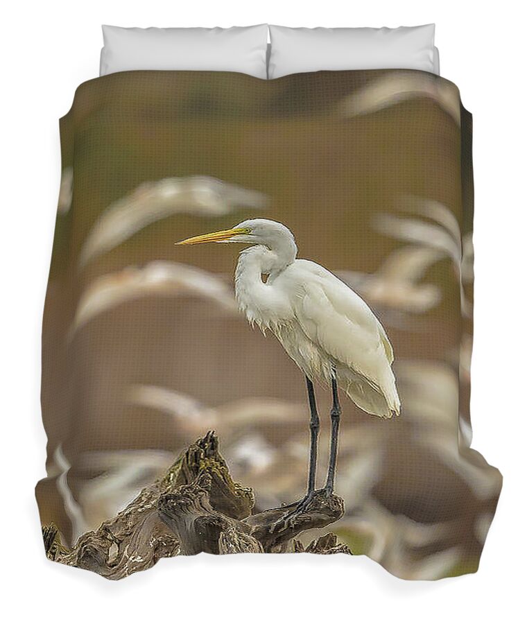 Library - Duvet Cover