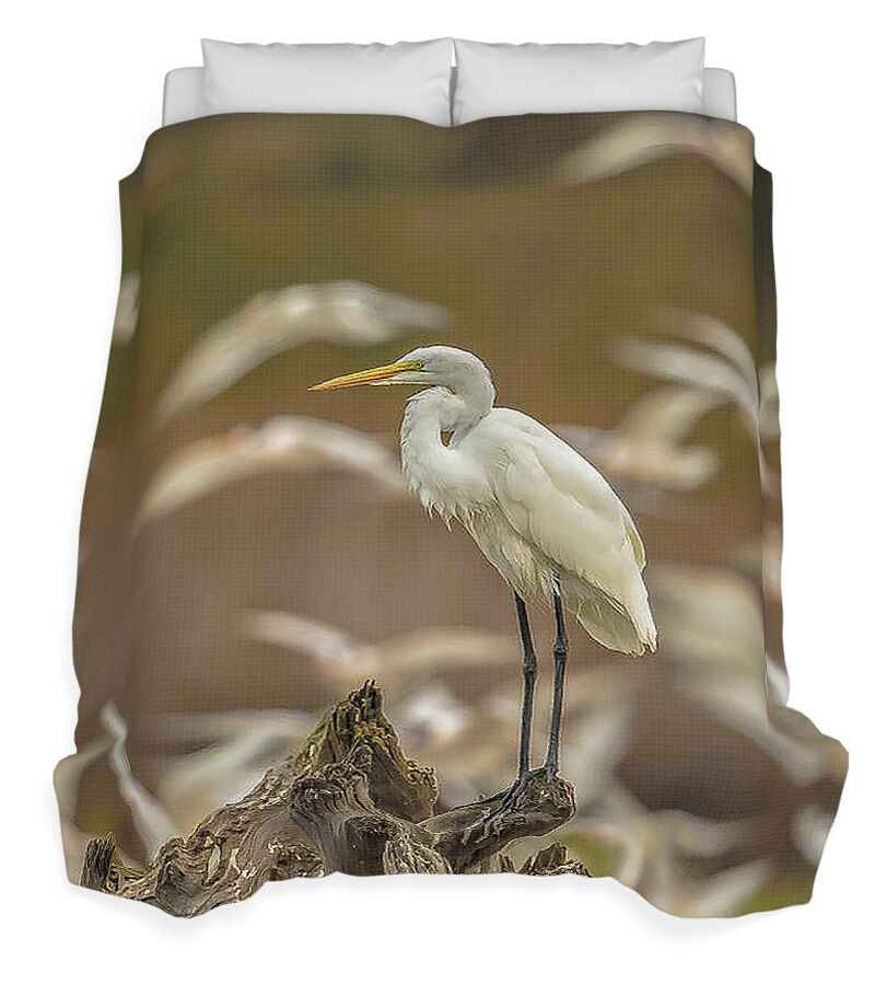 Library - Duvet Cover