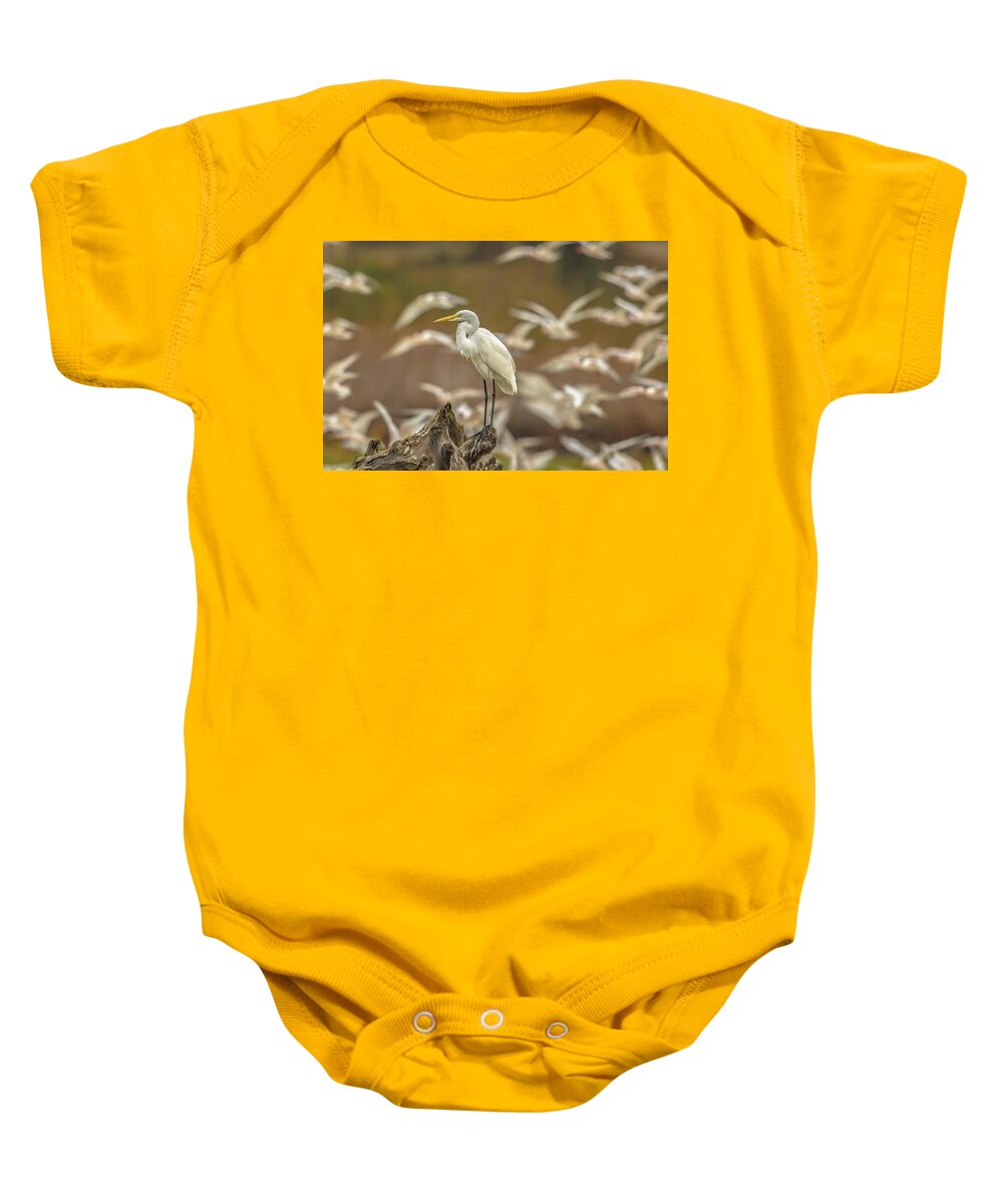 Library - Baby One-Piece