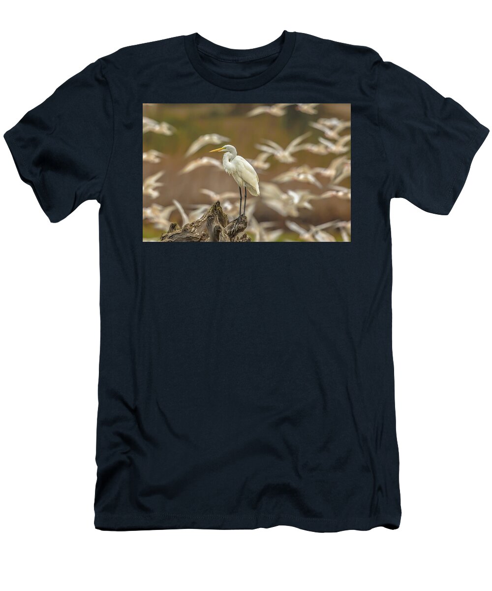Library - T-Shirt
