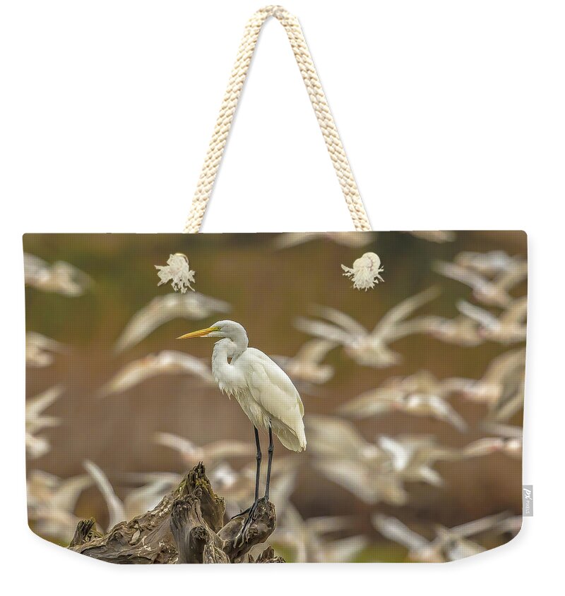 Library - Weekender Tote Bag
