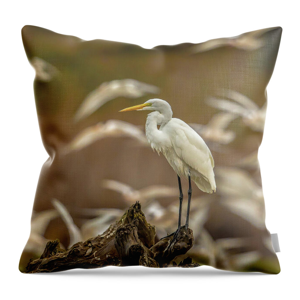 Library - Throw Pillow