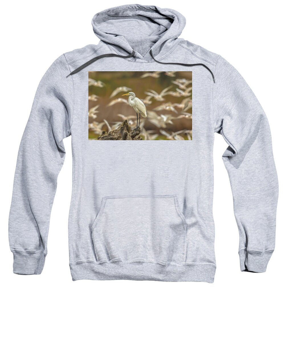 Library - Sweatshirt