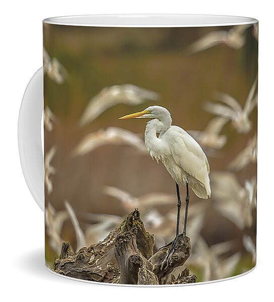 Library - Mug