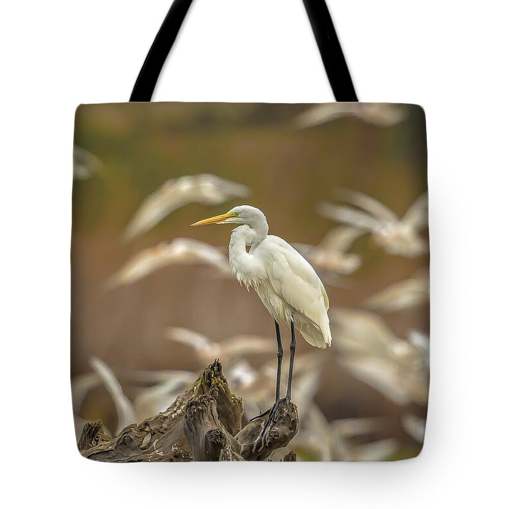 Library - Tote Bag