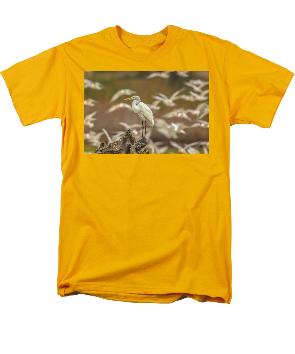 Library - Men's T-Shirt  (Regular Fit)