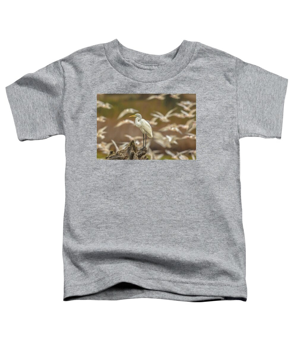 Library - Toddler T-Shirt