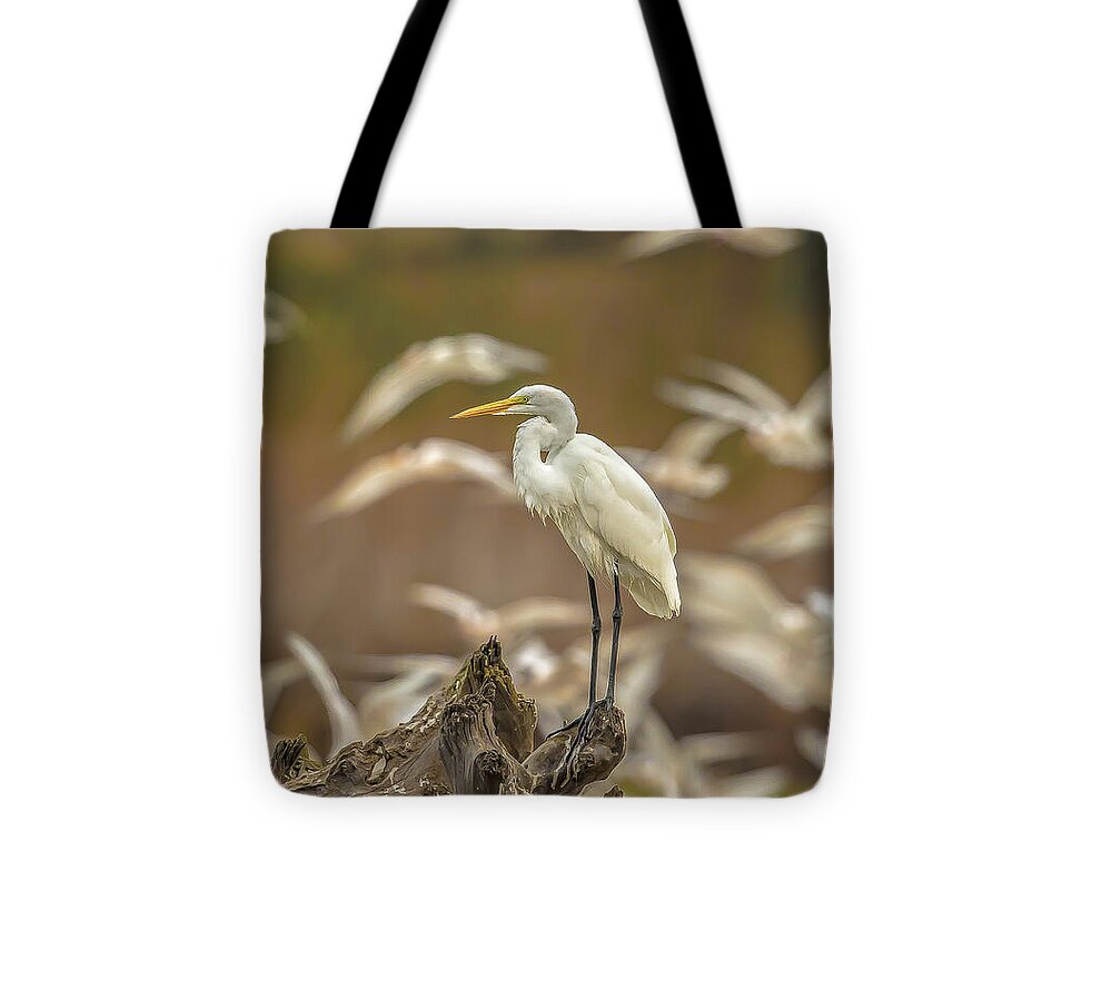 Library - Tote Bag
