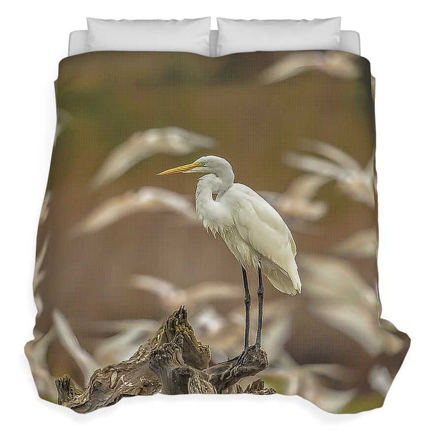 Library - Duvet Cover