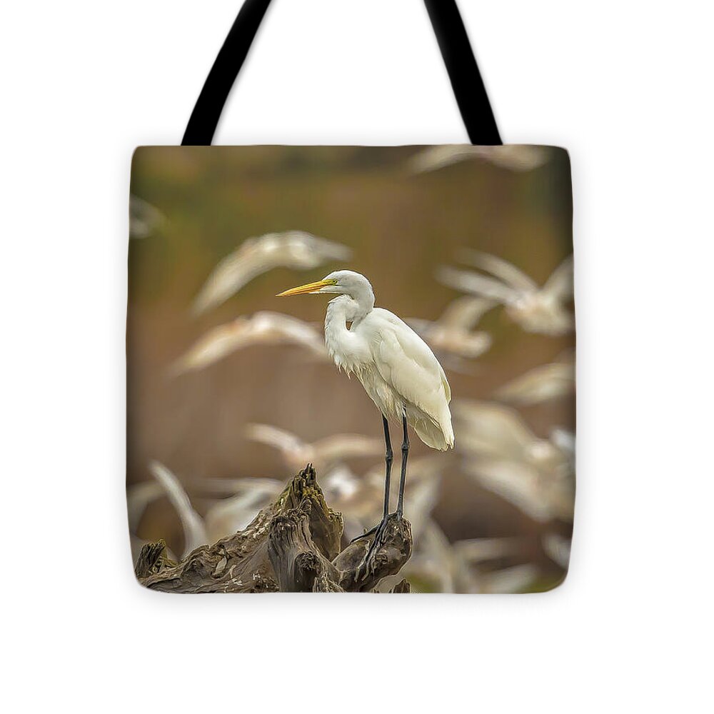 Library - Tote Bag