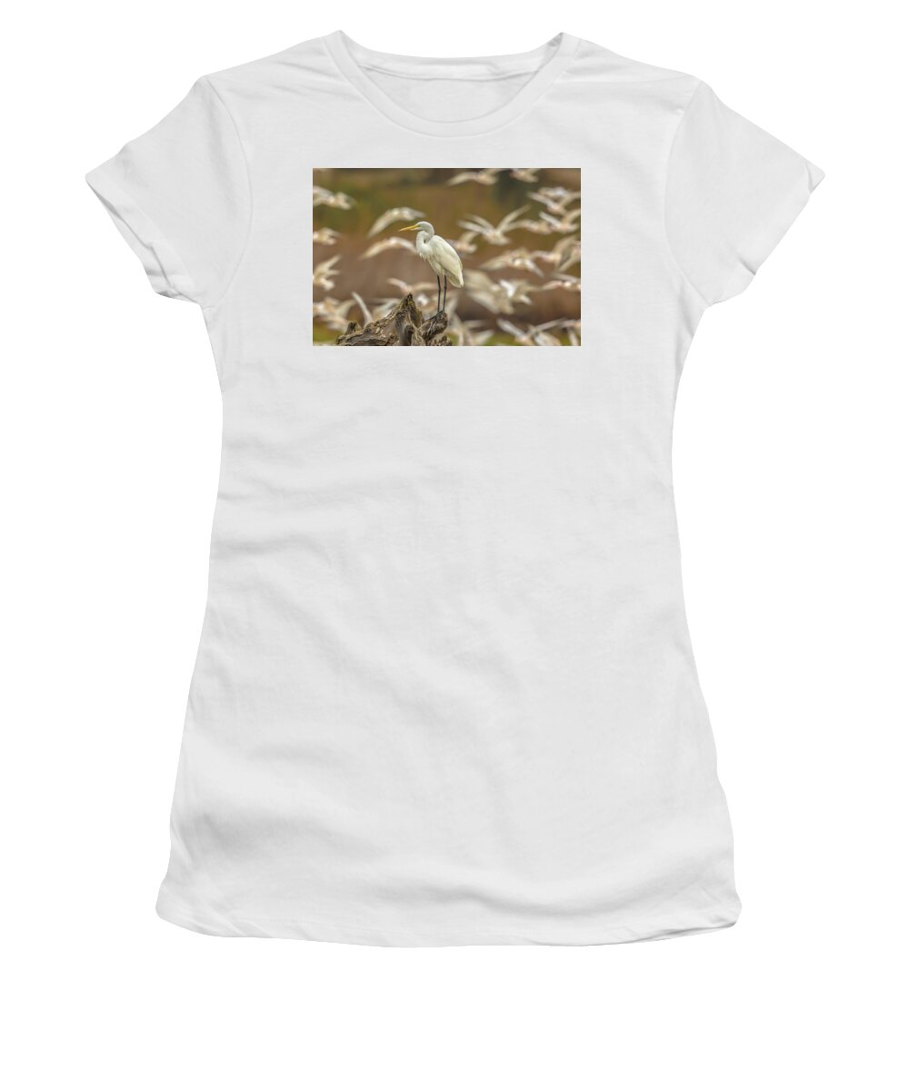 Library - Women's T-Shirt