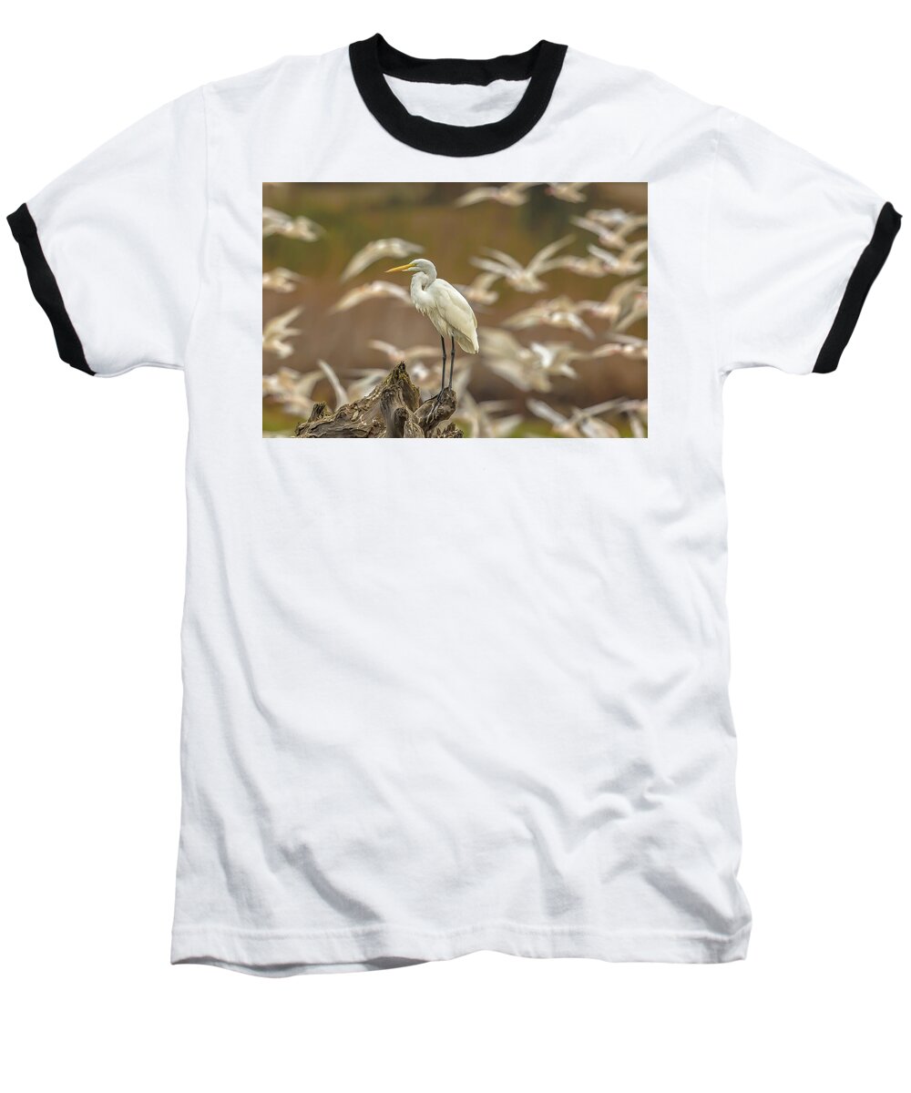 Library - Baseball T-Shirt